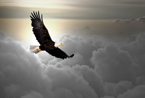 To Fly Like the Eagle